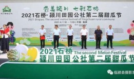 临颍新闻爆料事件最新,真相揭开，舆论漩涡中的正义较量